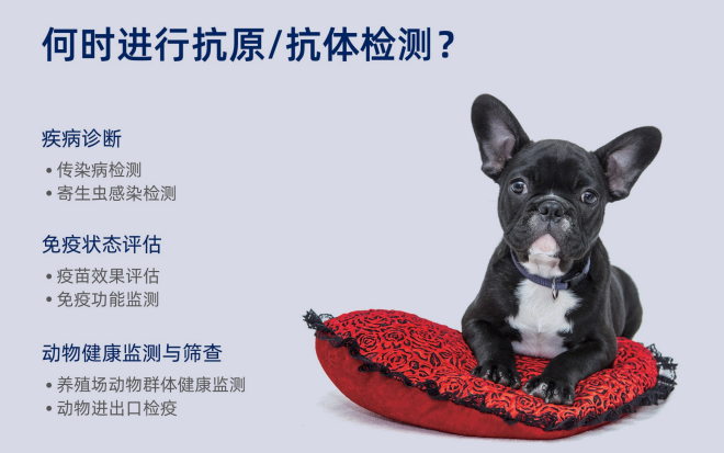 博科干式荧光免疫分析仪
